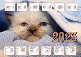2023 Calendar 11