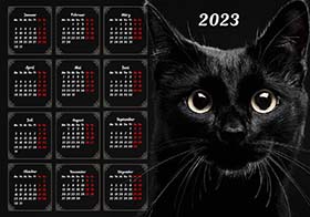 2023 Calendar 19