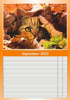 2023 Calendar 8